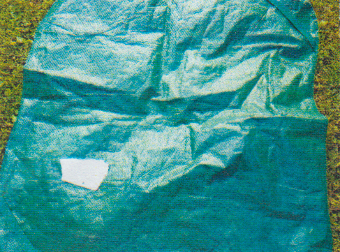 Fundbild der Gruppe Die wilden Banditen