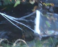 Fundbild der Gruppe VBS Nidda-Forscher