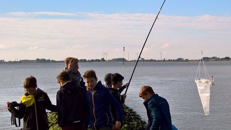 Fundbild der Gruppe Deichschafjäger