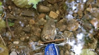 Fundbild der Gruppe BNS "Das N-Team"