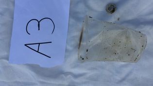 Fundbild der Gruppe Donauforscher