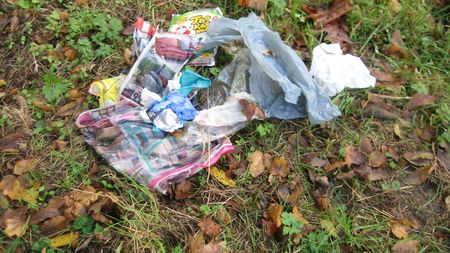 Fundbild der Gruppe Biokurs St. Leonhard Gymnasium