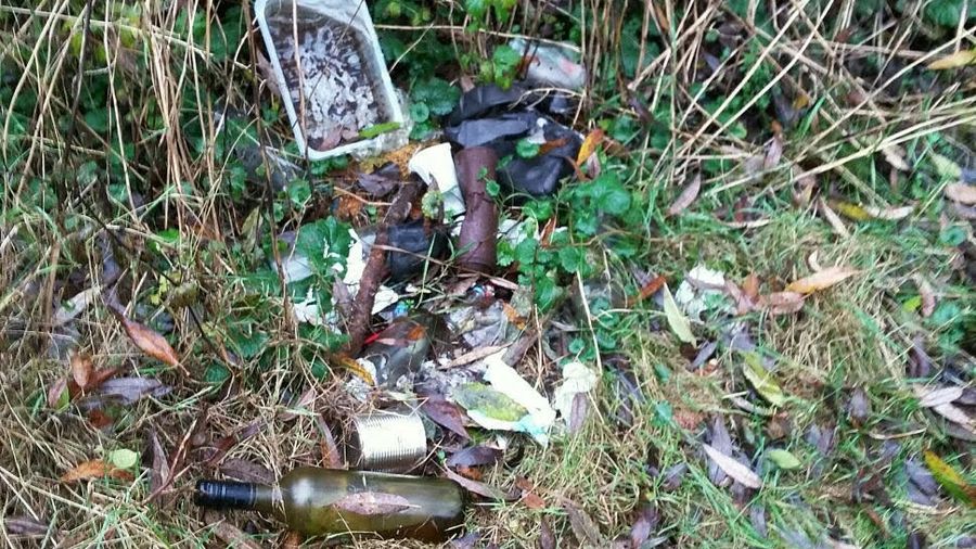 Fundbild der Gruppe Pirates of the Wümme