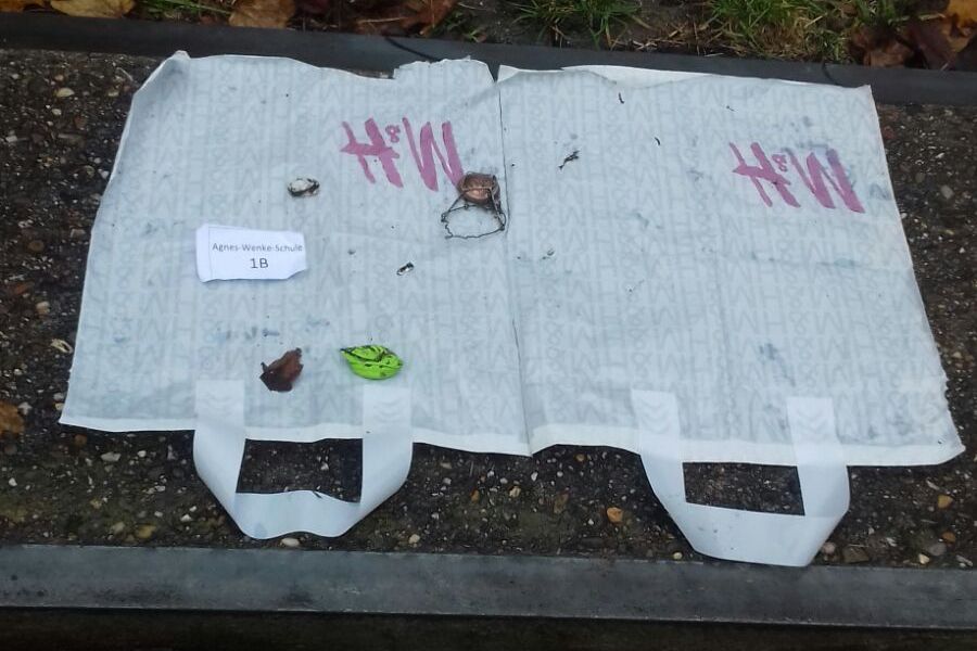 Fundbild der Gruppe Plastikpiraten der AWS