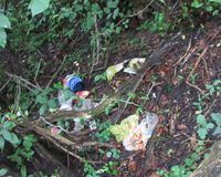 Fundbild der Gruppe Klasse 5a der Lernwerft - Club of Rome Schule, Kiel