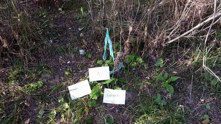 Fundbild der Gruppe PLASTICBUSTERS