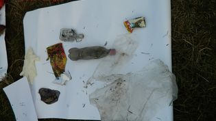 Fundbild der Gruppe Projektkurs Geographie OHG