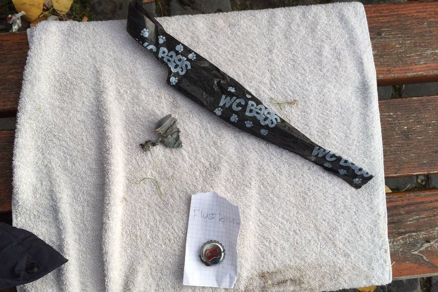 Fundbild der Gruppe WU-Naturwissenschaften-8abf-Anna-Schmidt-Schule-Frankfurt/Main