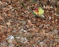 Fundbild der Gruppe Grünschnäbel