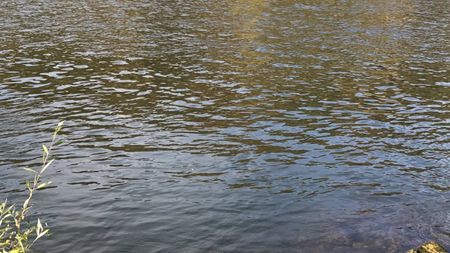 Fundbild der Gruppe VMG Klasse 6ad