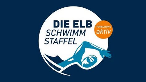 Elbschwimmstaffel Key Visual