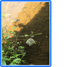 Fundbild der Gruppe Nummer1!!!!