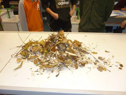 Fundbild der Gruppe Klasse 8a Helmholtz-Gymnasium Hilden