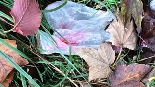 Fundbild der Gruppe Günzpiraten