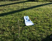 Fundbild der Gruppe Die Octonauten