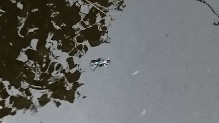 Fundbild der Gruppe Klimascouts