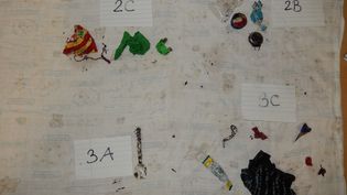 Fundbild der Gruppe Ökologieklasse 6a IGS Buchholz