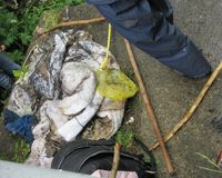 Fundbild der Gruppe Klasse 5a der Lernwerft - Club of Rome Schule, Kiel