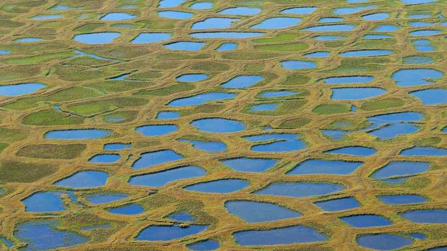 Netzartige Strukturen aus Eiskeil-Polygonen in der Arktis.