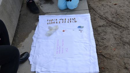 Fundbild der Gruppe Ernst-Sigle-Gymnasium Kornwestheim & Wildern School Eastleigh, UK