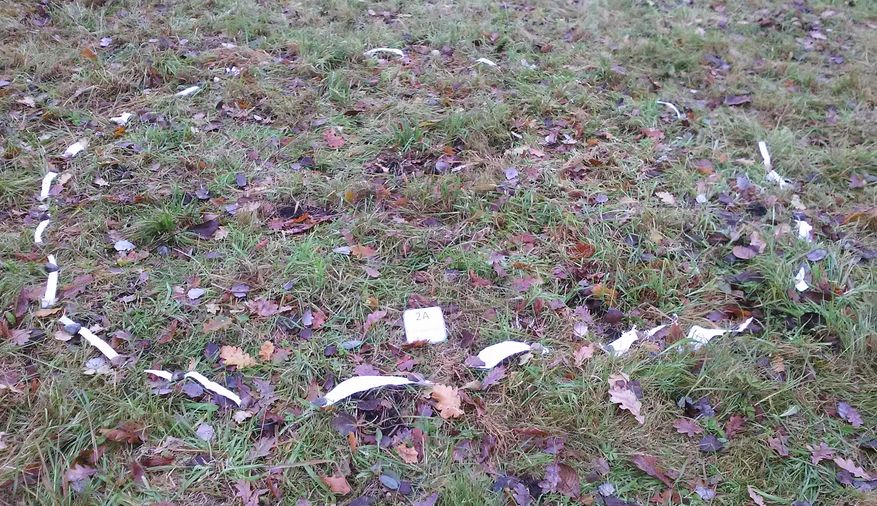 Fundbild der Gruppe Neiße-Piraten Guben