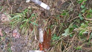 Fundbild der Gruppe 9c FBG Schwerte