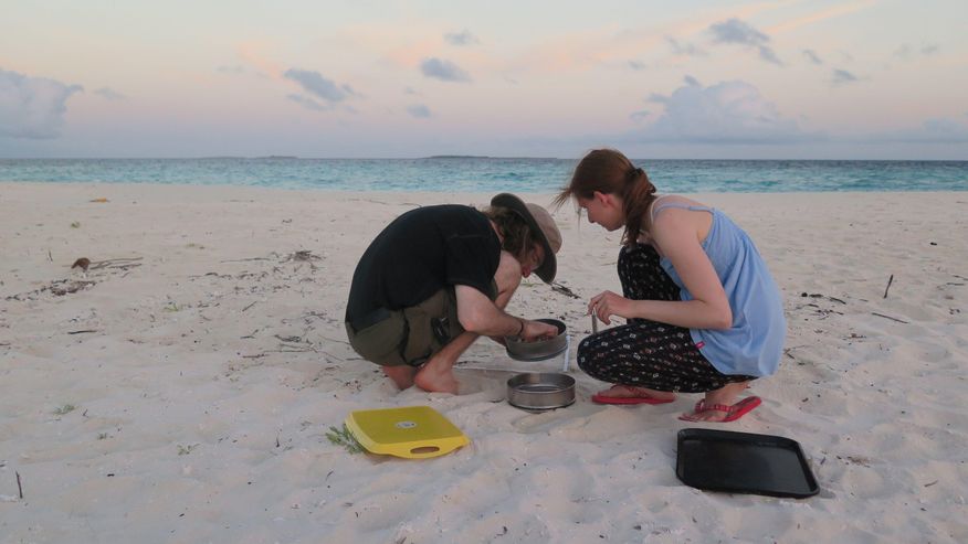 Bayreuther Studierende beim Aussieben auf der Malediven-Insel Vavvaru