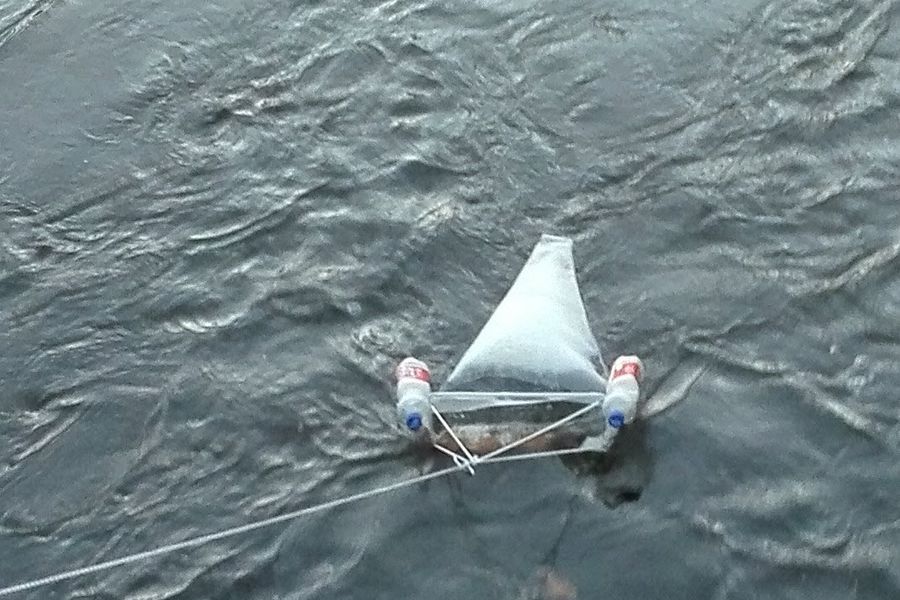 Fundbild der Gruppe Fantastische Forellen