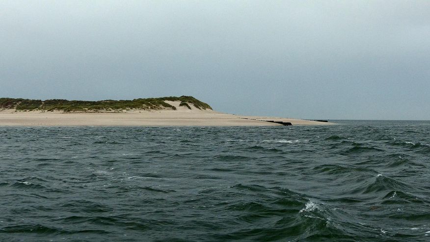 Bild einer Landzunge der Insel Sylt (Deutschland) an der das Forschungsteams Chlamydien fand