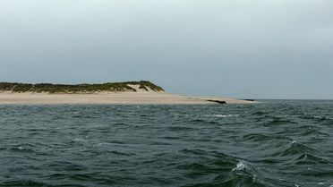 Bild einer Landzunge der Insel Sylt (Deutschland) an der das Forschungsteams Chlamydien fand