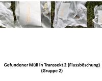 Fundbild der Gruppe Braunschweiger Bären