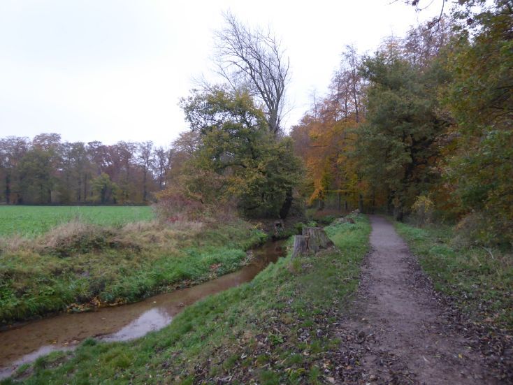 Fundbild der Gruppe KGL Dickelsbacher Fischers Fritzen