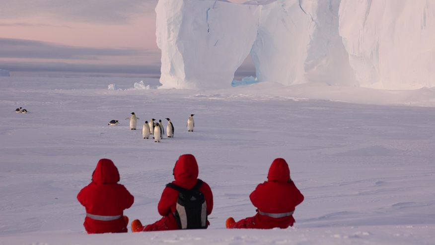 Foto von Forscherinnen und Forschern, die Pinguine in der Antarktis beobachten