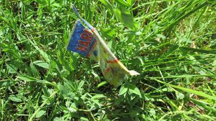 Fundbild der Gruppe Junge Forscher Realschule Poing