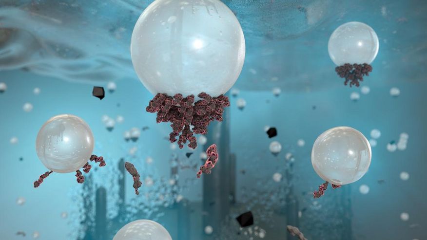 Foto von Bakterien, die aus bioaktiven Stoffen gewonnen werden