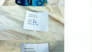 Fundbild der Gruppe Die Ratseradler