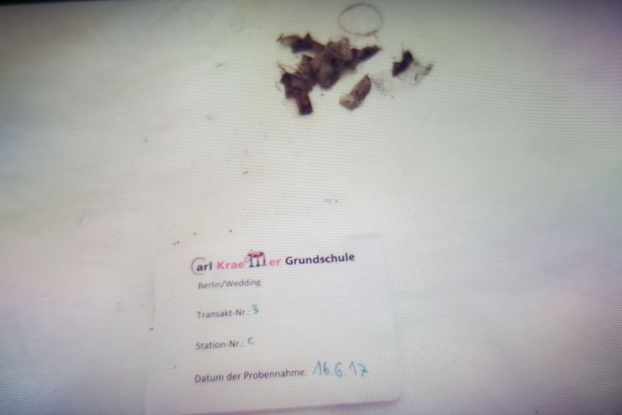 Fundbild der Gruppe Cal-Kraemer-Grundschule Klasse 