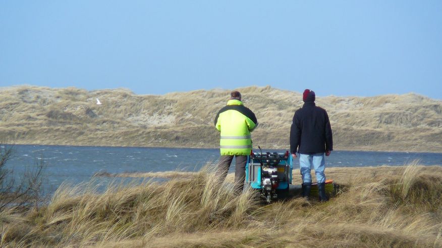 Wissenschaftlerinnen und Wissenschaftler  auf einer Dünne auf Borkum