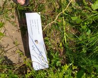 Fundbild der Gruppe 181 Neckarforscher