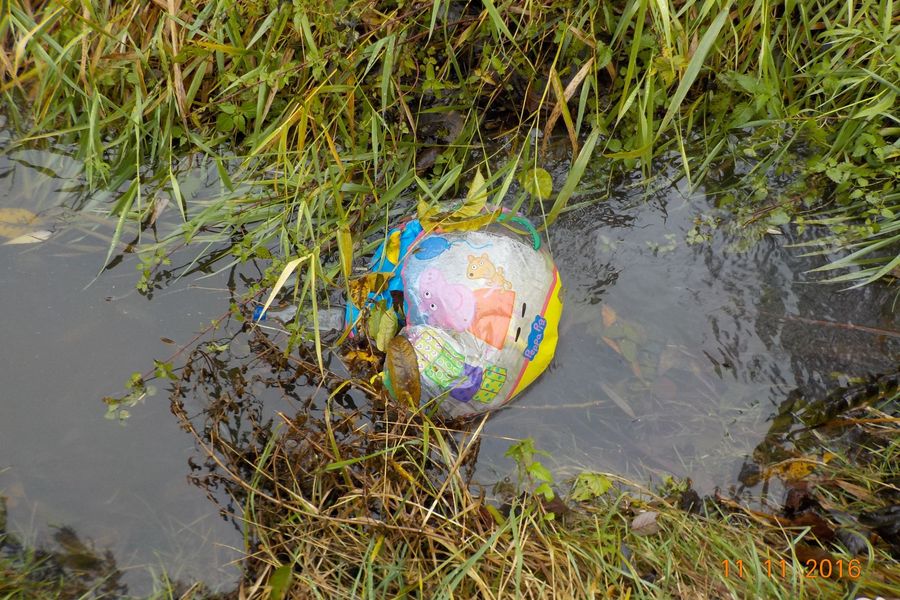 Fundbild der Gruppe Die 6c auf Rettungsmission