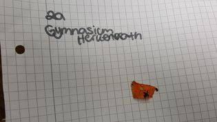 Fundbild der Gruppe Biologie Diff-Kurs Gymnasium Herkenrath