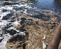 Fundbild der Gruppe Ergänzungsuntersuchung der Schäfchen (Max-Delbrück-Gymnasium)