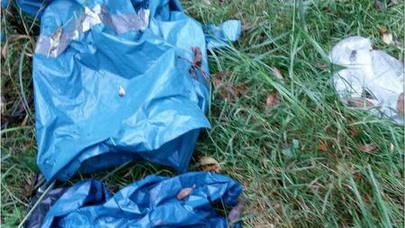 Fundbild der Gruppe Fockes Forscher