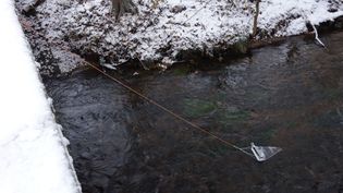 Fundbild der Gruppe Ökologieklasse 6a IGS Buchholz