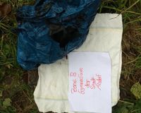 Fundbild der Gruppe Projektkurs Gymnasium Alsdorf