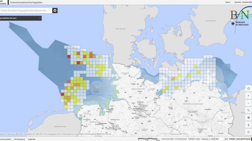 Zu sehen: Eine Übersicht der Schweinswal-Sichtungen an Nord- und Ostseeküste