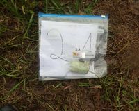 Fundbild der Gruppe Die Hardberger-Plastik-Piraten