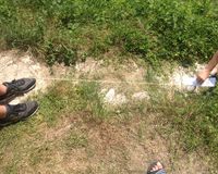 Fundbild der Gruppe 181 Neckarforscher