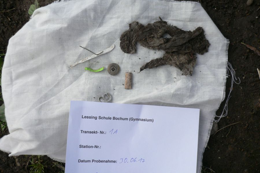 Fundbild der Gruppe Q1 Bio Lessing Schule