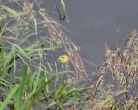 Fundbild der Gruppe TrashBusters